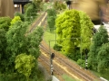 DSCN0615