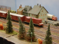 DSCN0046
