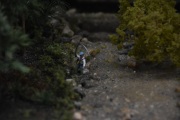 DSC_5827